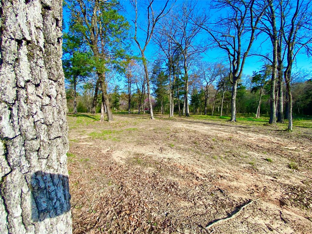Tbd County Road 1452 Property Photo 13