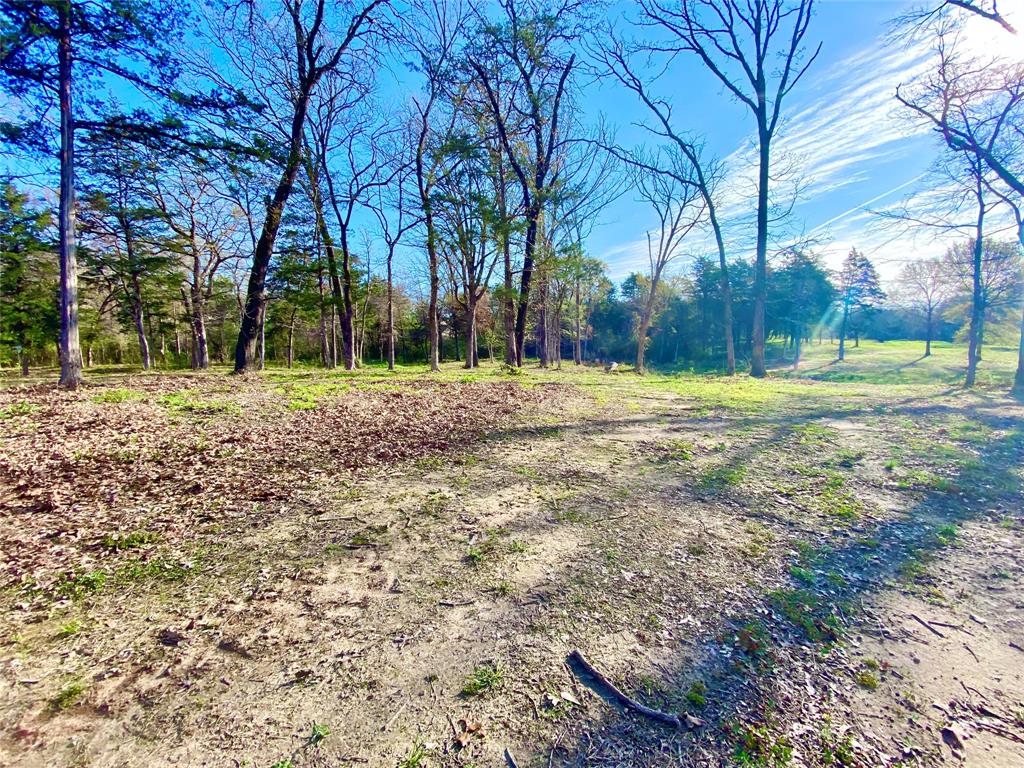 Tbd County Road 1452 Property Photo 15