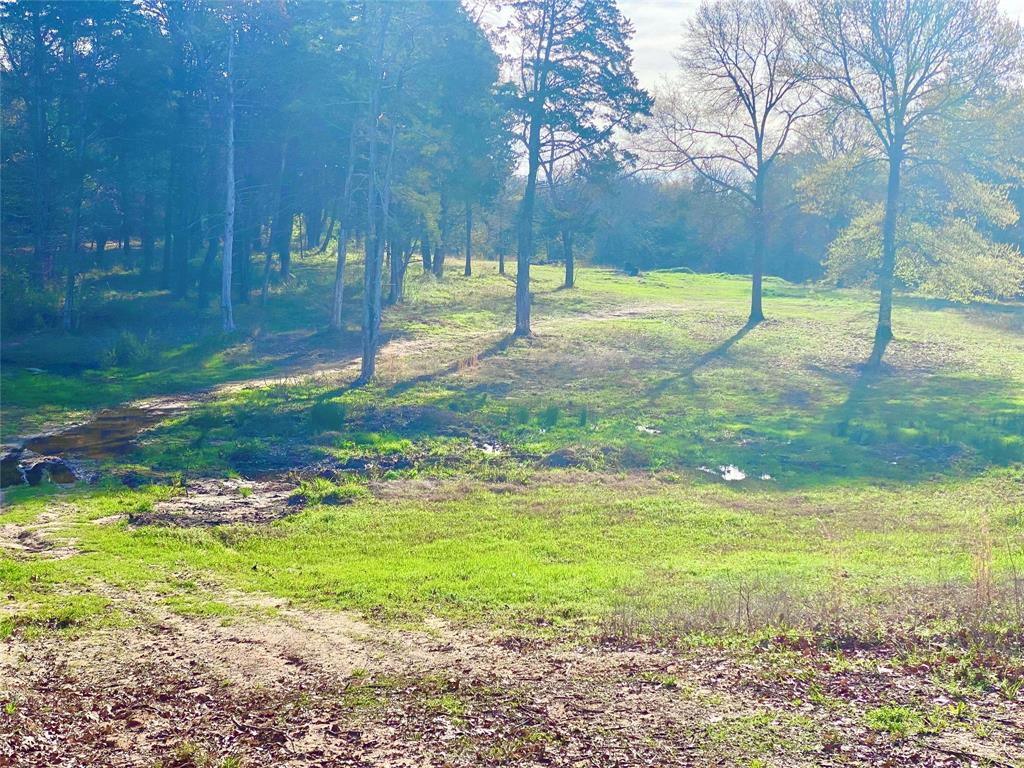 Tbd County Road 1452 Property Photo 16
