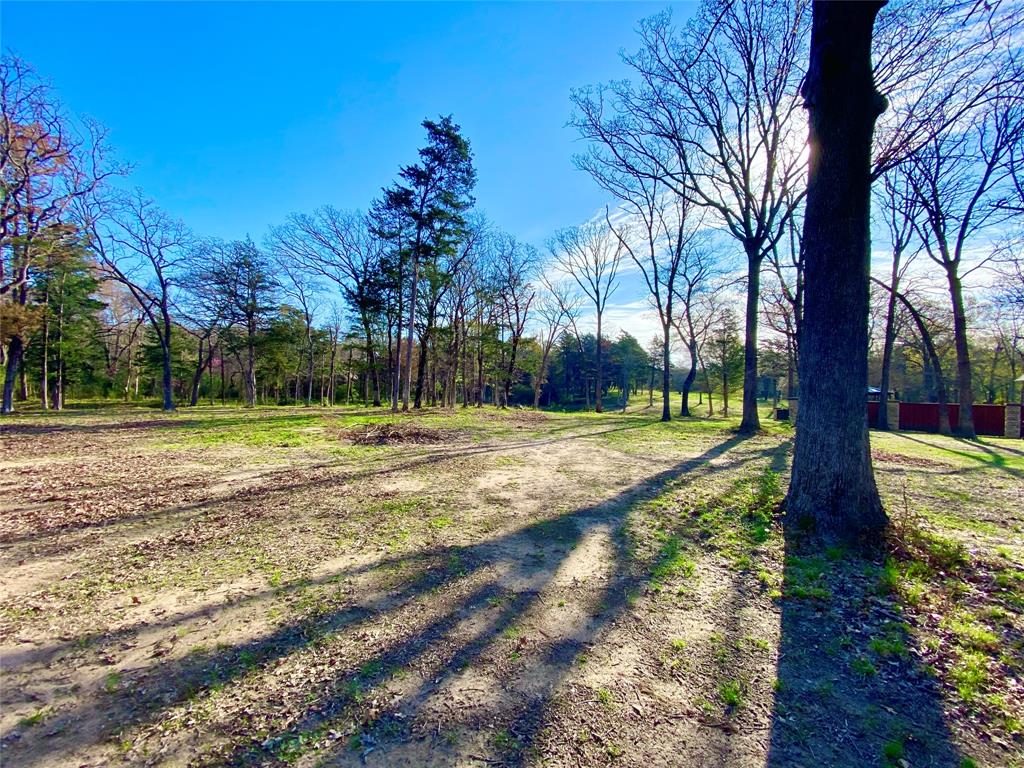 Tbd County Road 1452 Property Photo 17