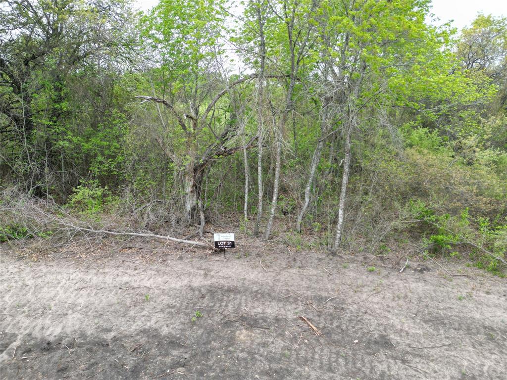 197 Fan Mill Trail Property Photo 3