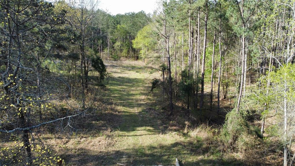 000 County Road 434 Property Photo 1