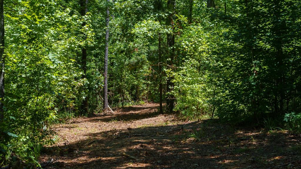 000 County Road 434 Property Photo 6
