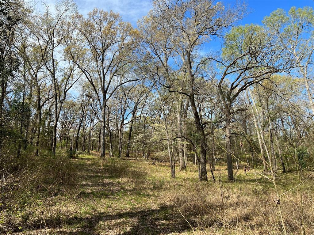 000 County Road 434 Property Photo 7