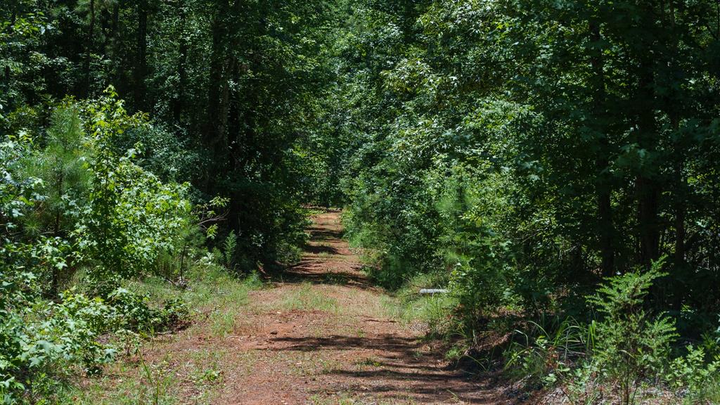 000 County Road 434 Property Photo 7