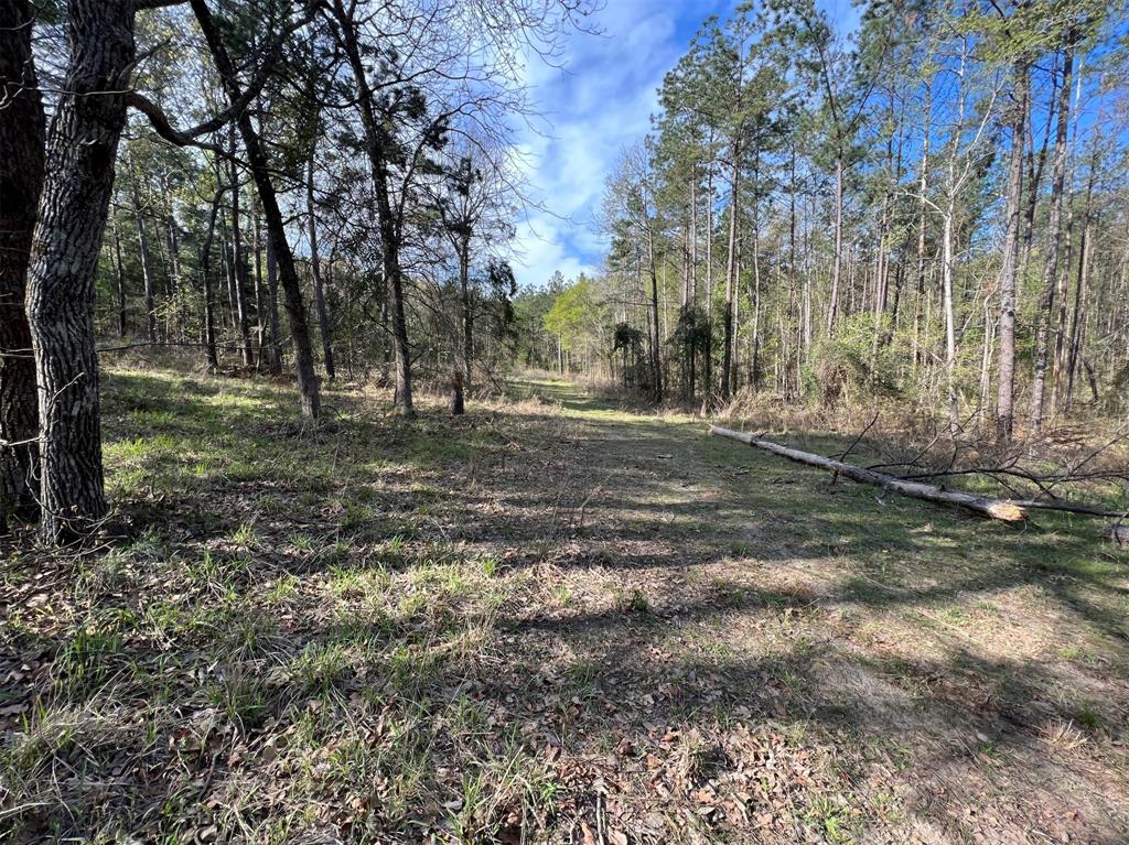 000 County Road 434 Property Photo 9