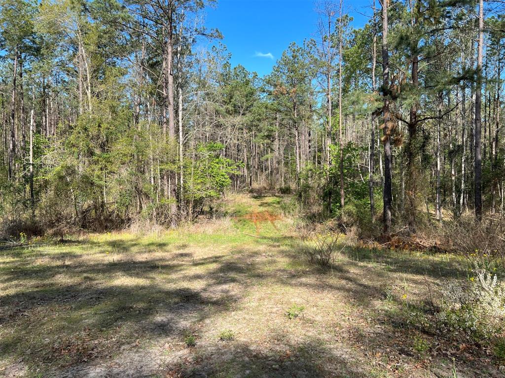 000 County Road 434 Property Photo 10