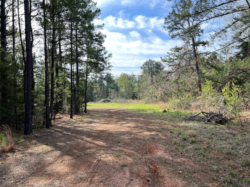 000 County Road 434 Property Photo 13