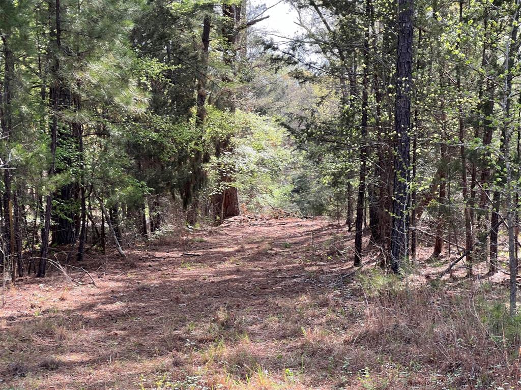 000 County Road 434 Property Photo 14