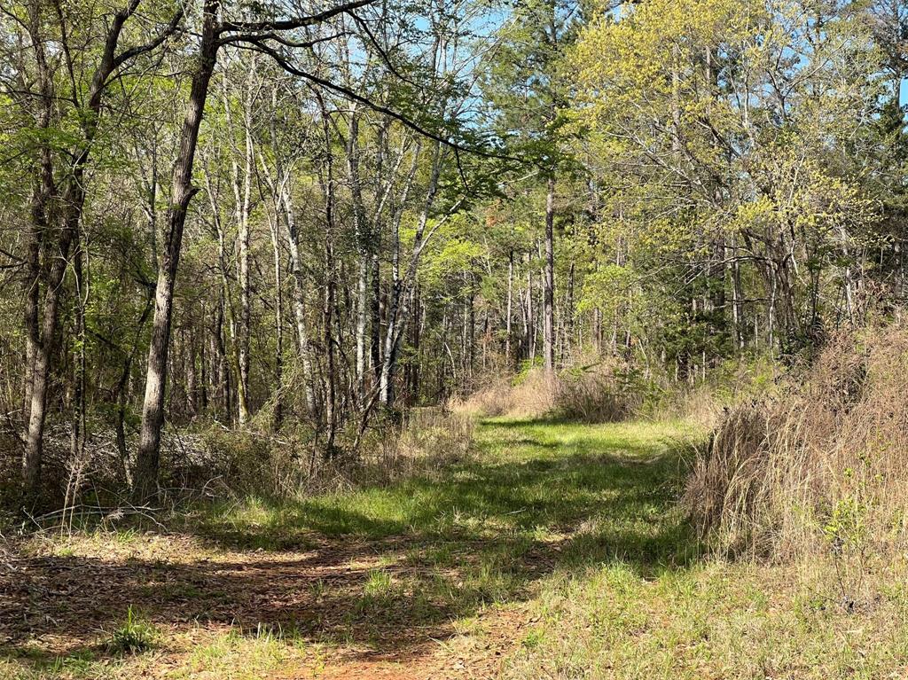 000 County Road 434 Property Photo 15