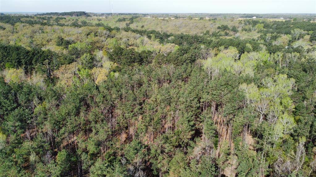 000 County Road 434 Property Photo 21