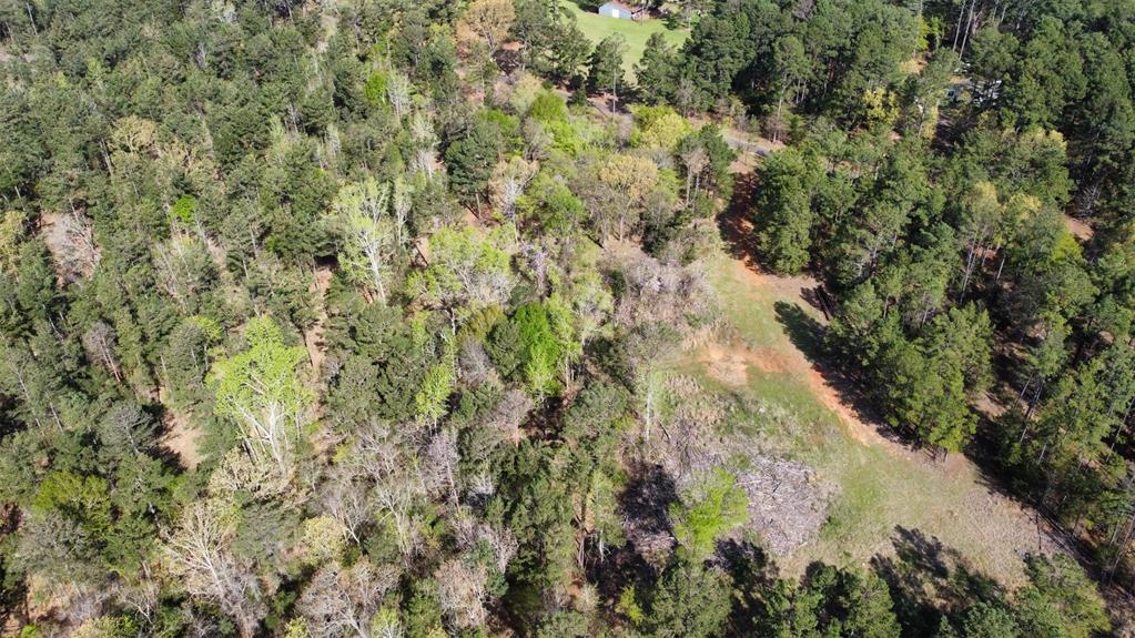 000 County Road 434 Property Photo 25