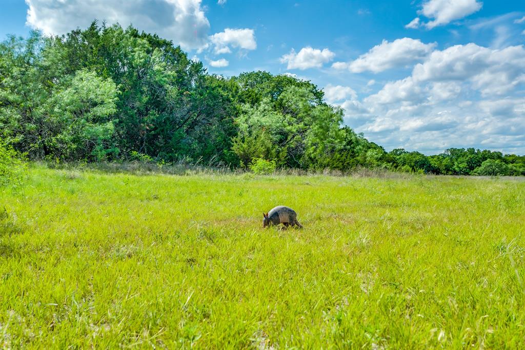 Tbd County Road 175 Property Photo 1
