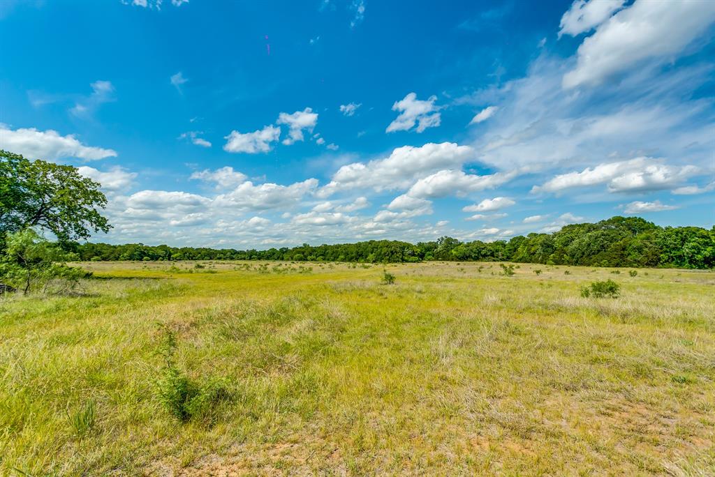 Tbd County Road 175 Property Photo 9