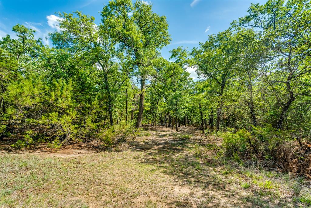 Tbd County Road 175 Property Photo 11