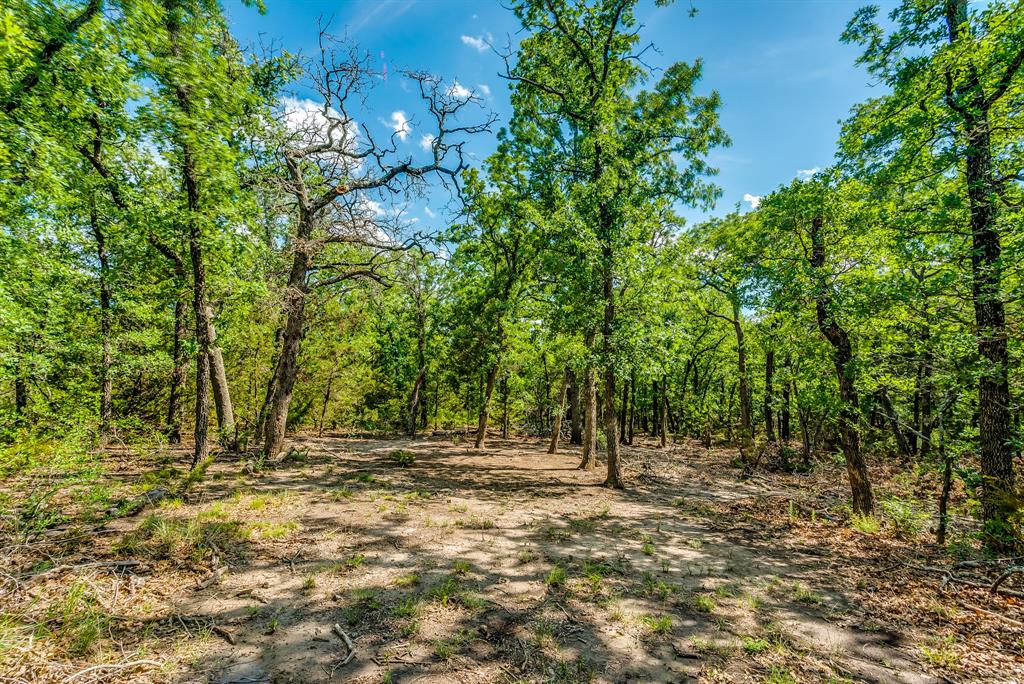 Tbd County Road 175 Property Photo 12