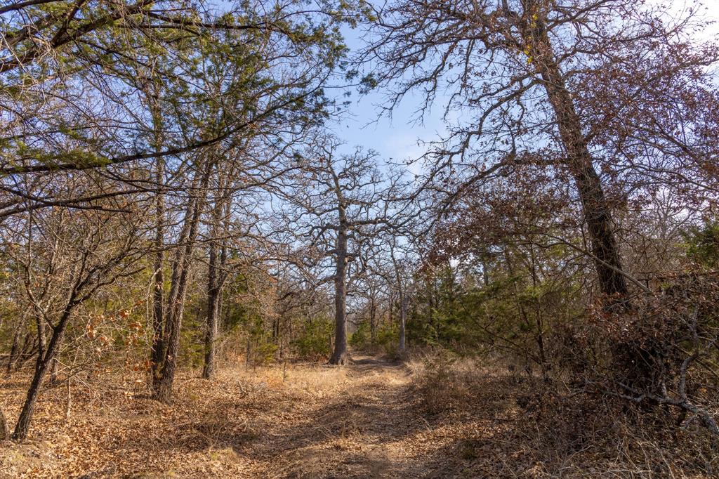 Tbd County Road 175 Property Photo 13