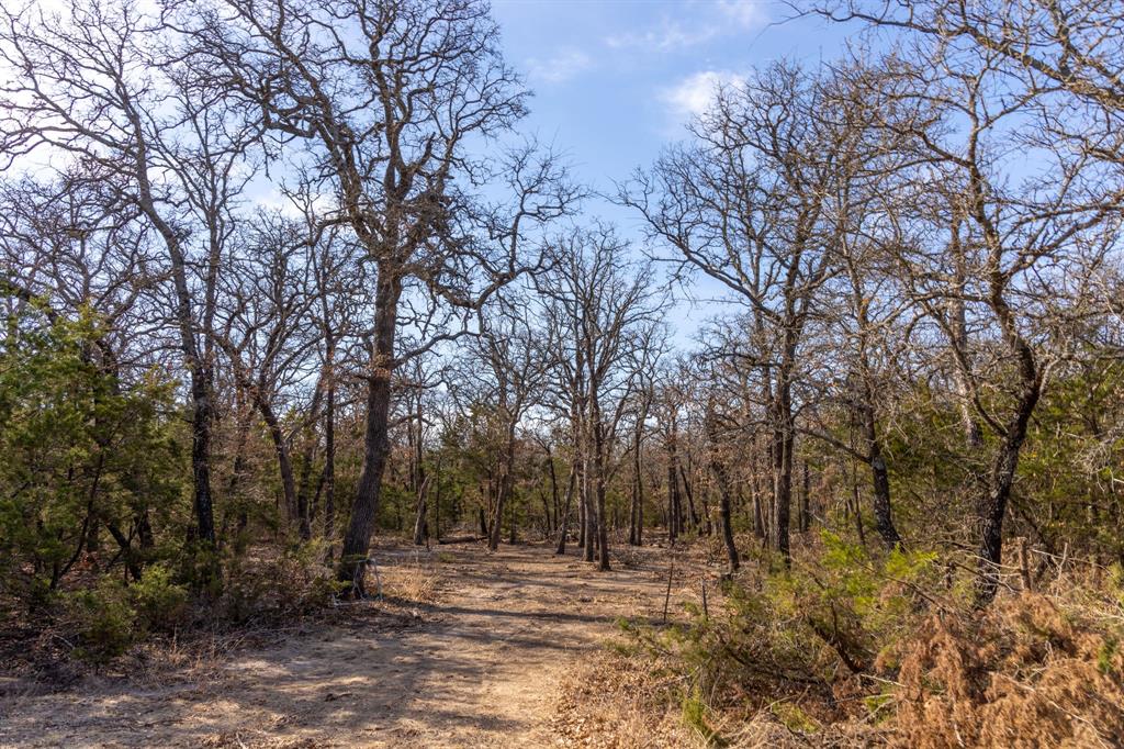 Tbd County Road 175 Property Photo 15