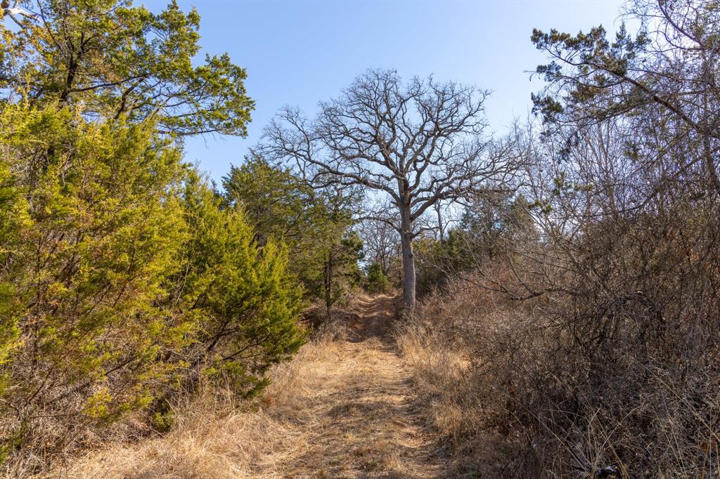 Tbd County Road 175 Property Photo 16