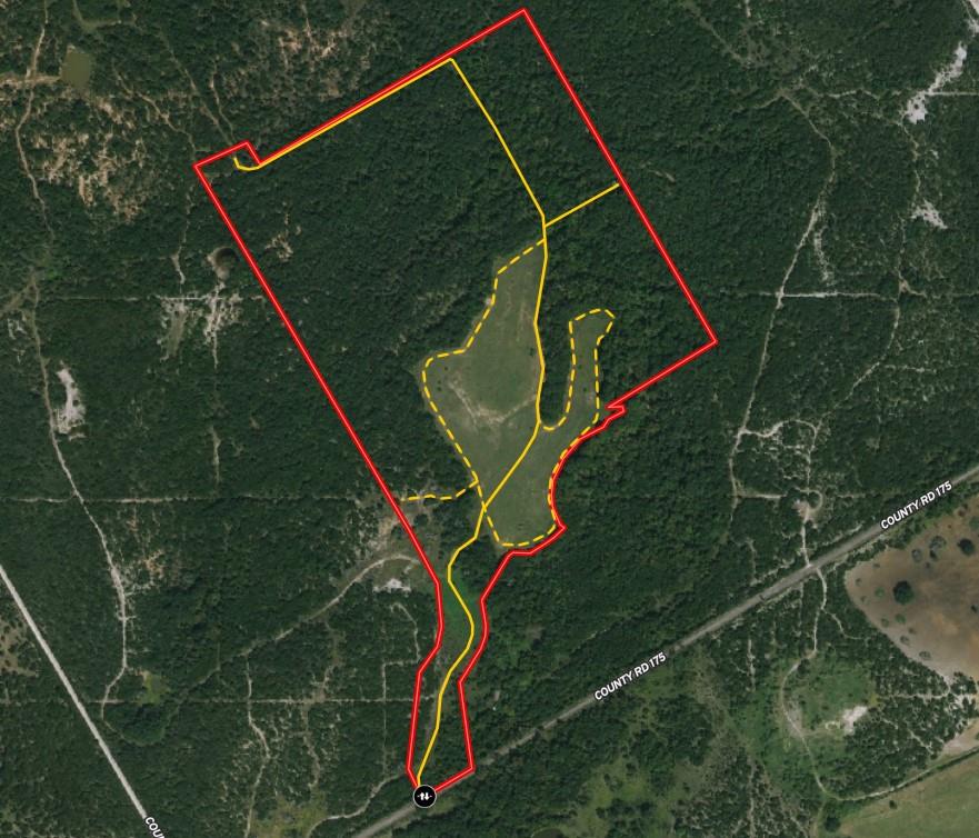 Tbd County Road 175 Property Photo 17