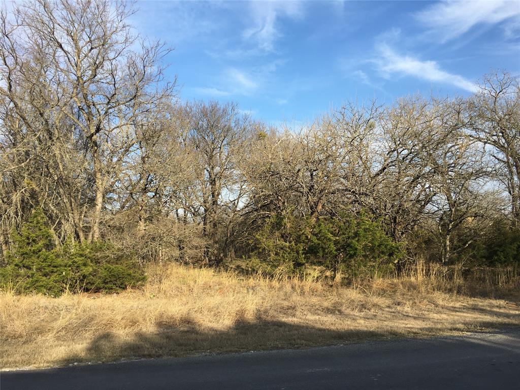 31057 Doe Run Court Property Photo 9