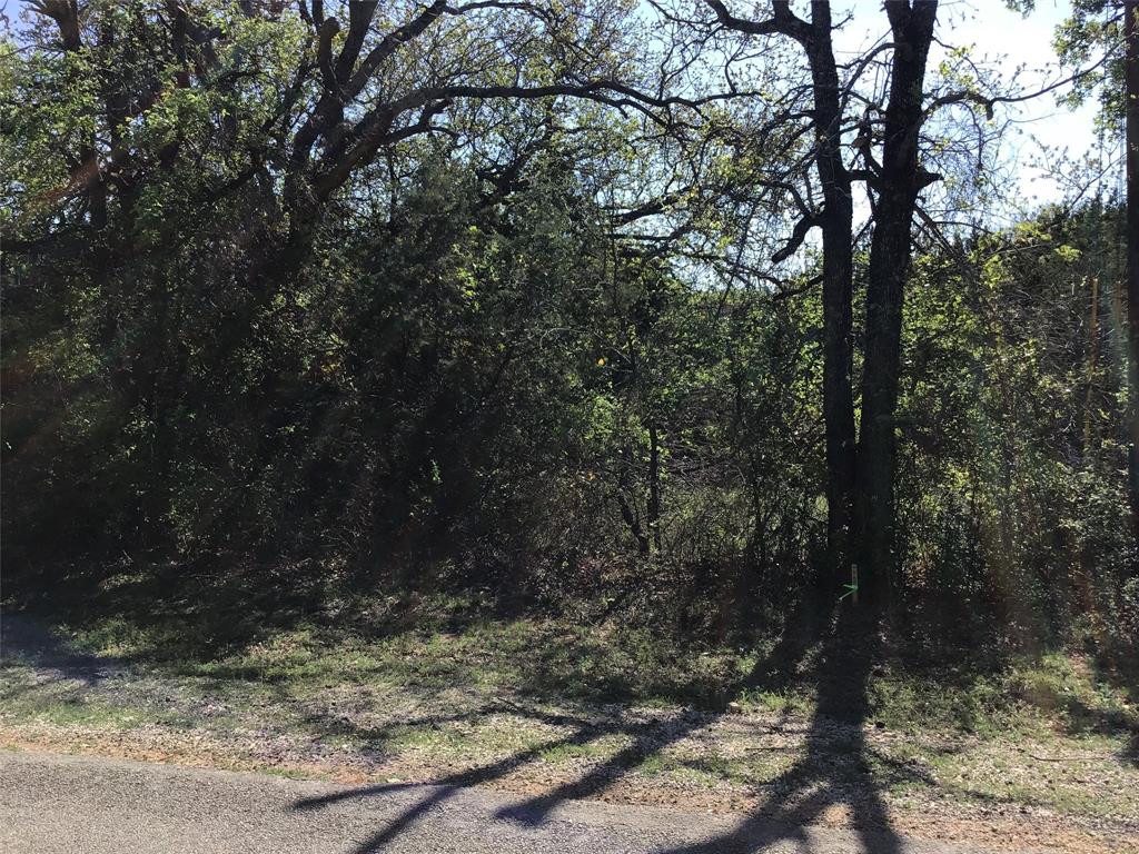 1142 Neches Trail Property Photo 3