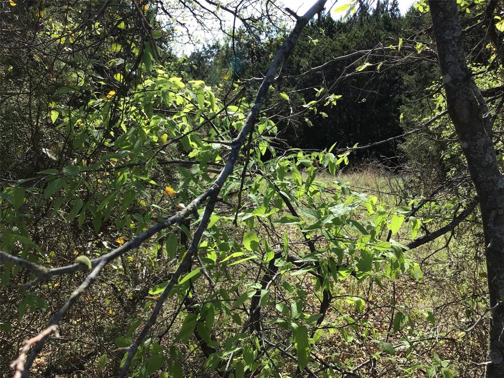 1142 Neches Trail Property Photo 4