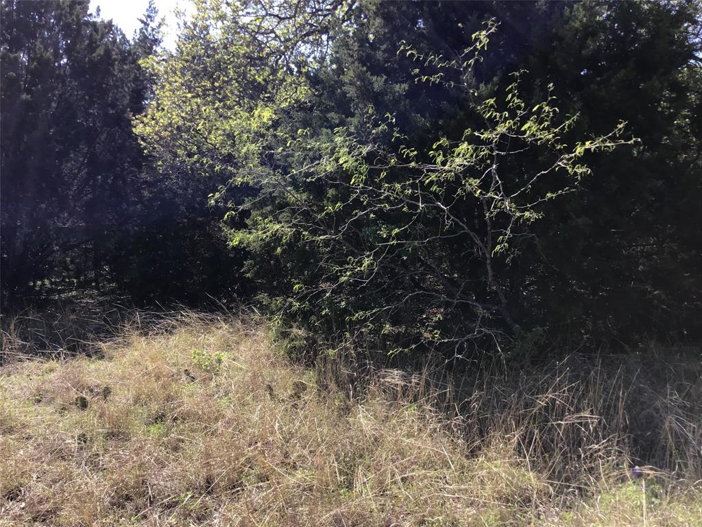 1142 Neches Trail Property Photo 7