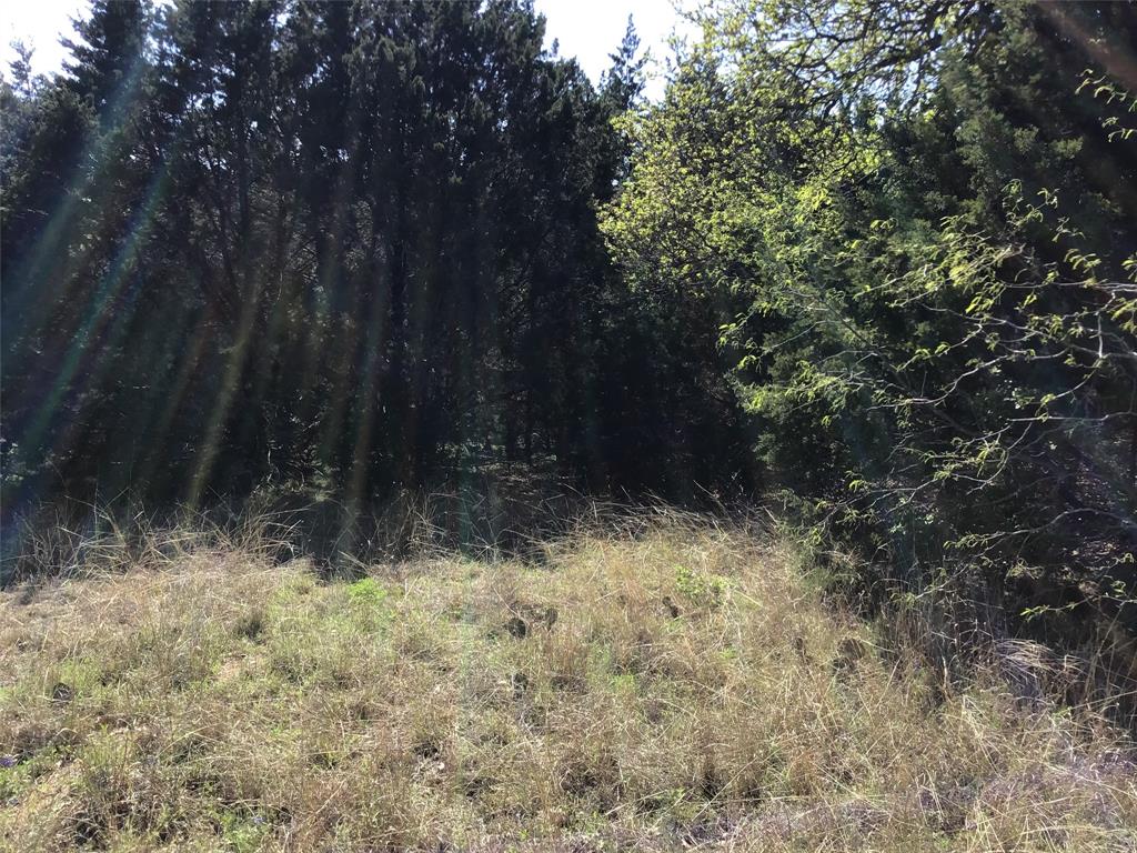 1142 Neches Trail Property Photo 8