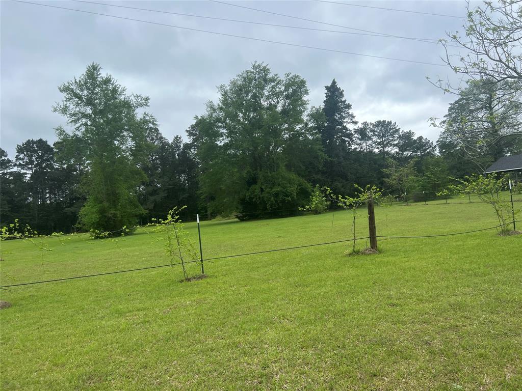 Tbd County Road 316 Property Photo 3