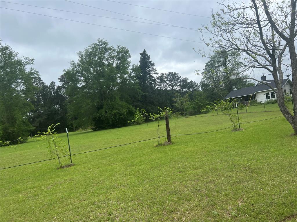 Tbd County Road 316 Property Photo 6