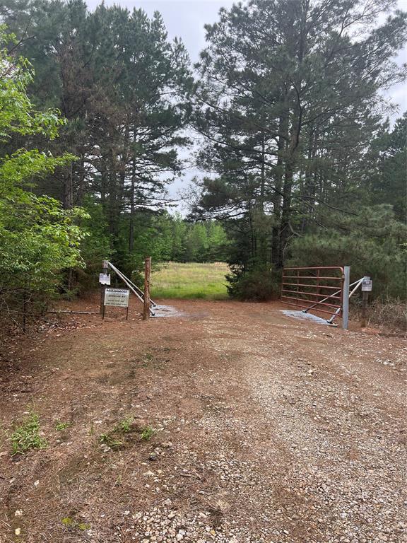 Tbd County Road 316 Property Photo 7