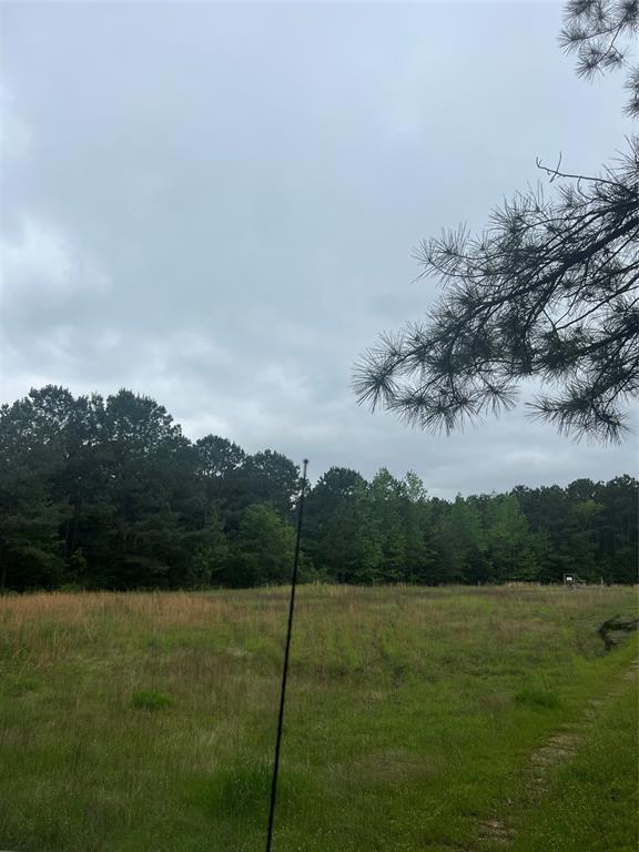 Tbd County Road 316 Property Photo 8