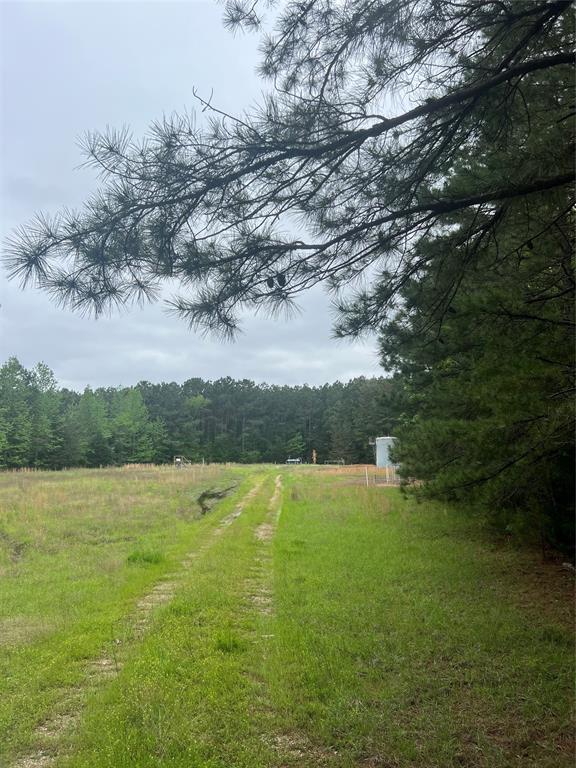 Tbd County Road 316 Property Photo 9
