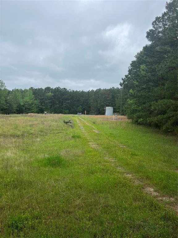 Tbd County Road 316 Property Photo 10