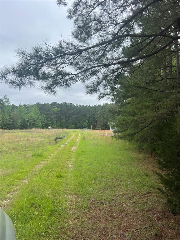 Tbd County Road 316 Property Photo 11