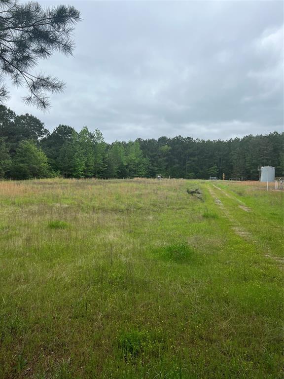 Tbd County Road 316 Property Photo 12