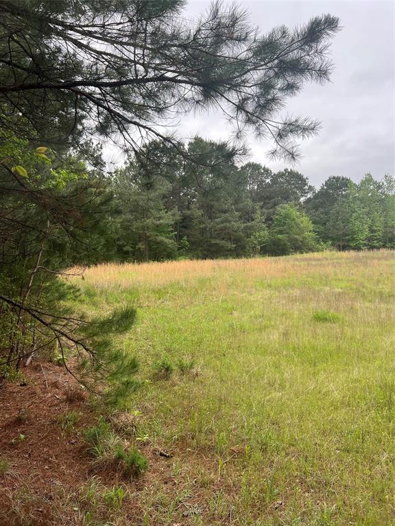 Tbd County Road 316 Property Photo 13