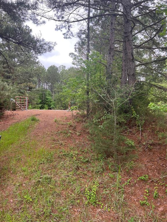 Tbd County Road 316 Property Photo 15