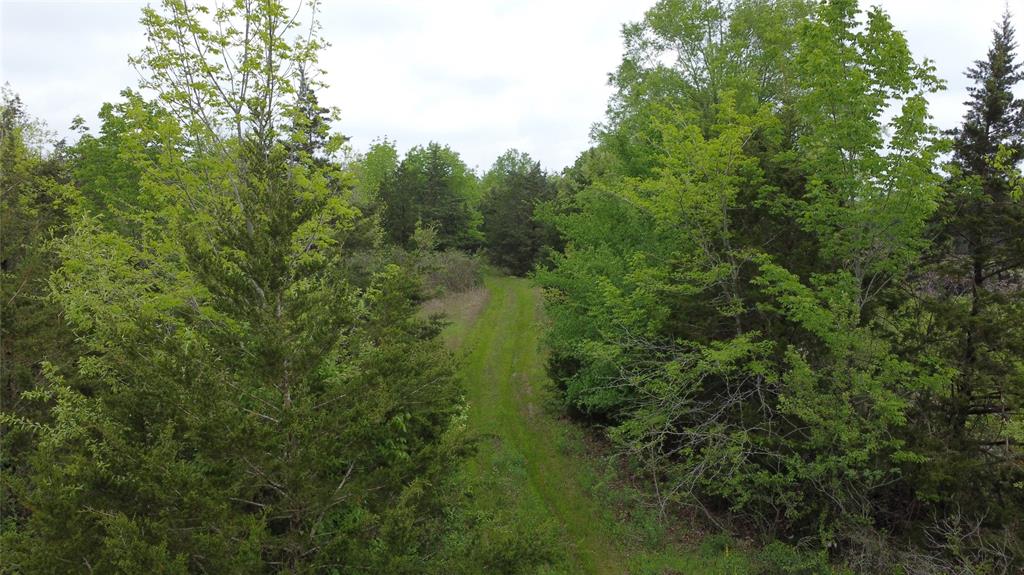 0 Fm 71 Property Photo 9