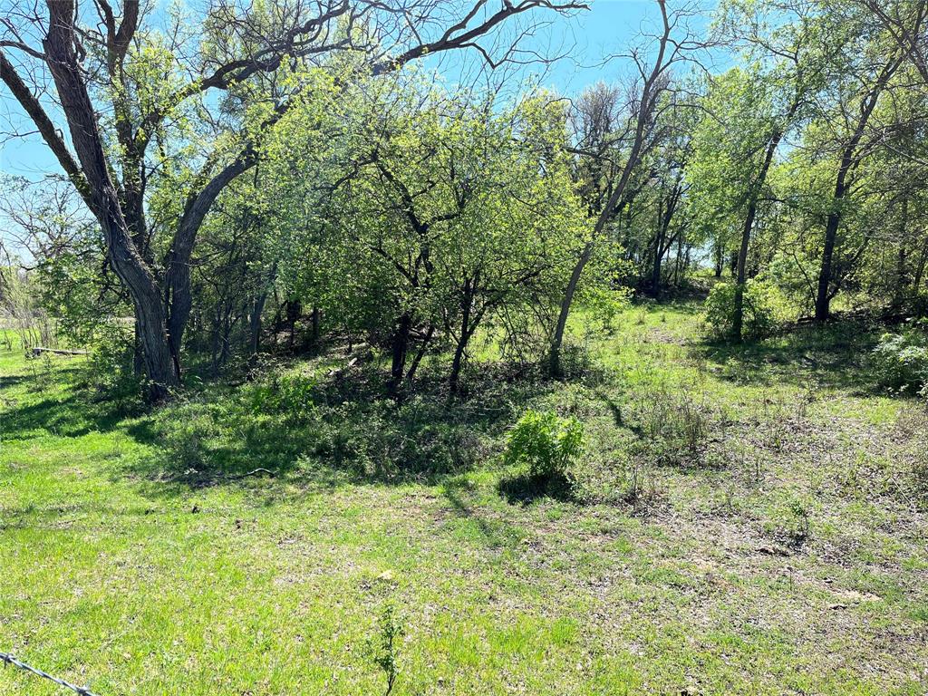Tract #4 Cr 323 Property Photo 5