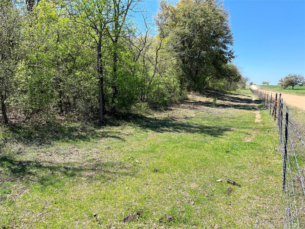 Tract #4 Cr 323 Property Photo 6