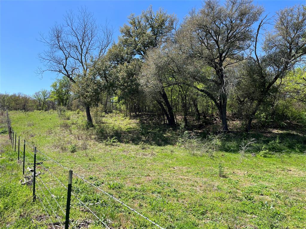 Tract #4 Cr 323 Property Photo 7