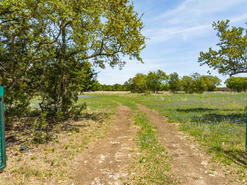 Tbd County Road 2140 Property Photo 5