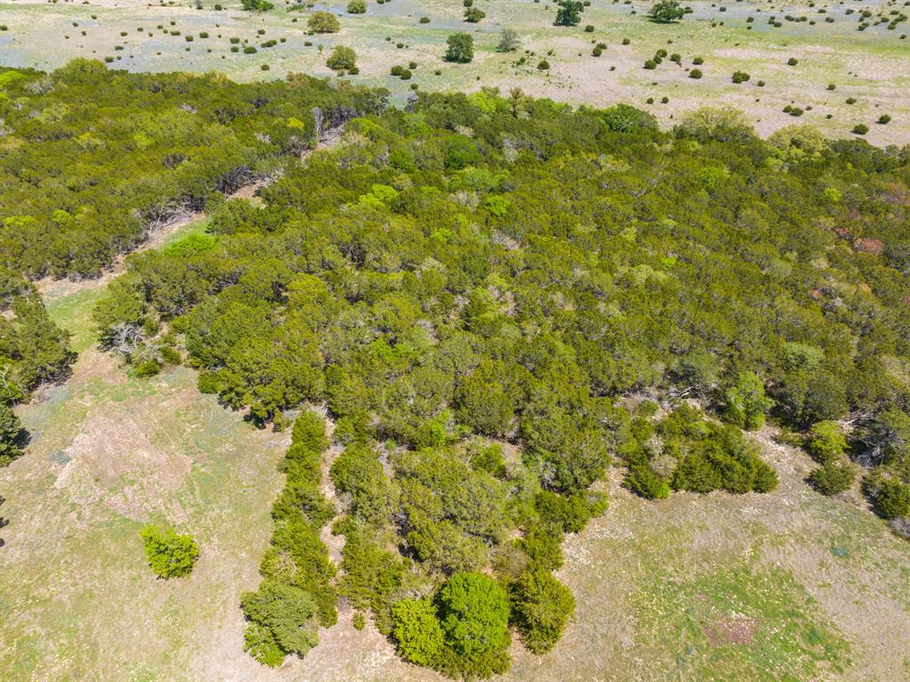 Tbd County Road 2140 Property Photo 8