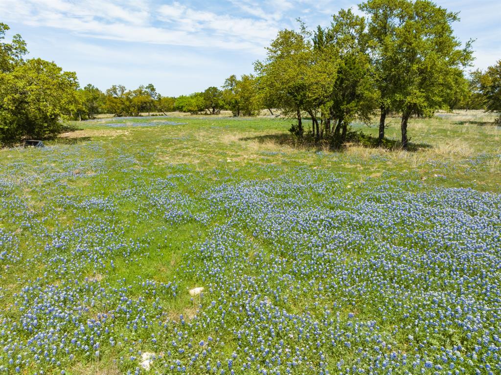Tbd County Road 2140 Property Photo 17