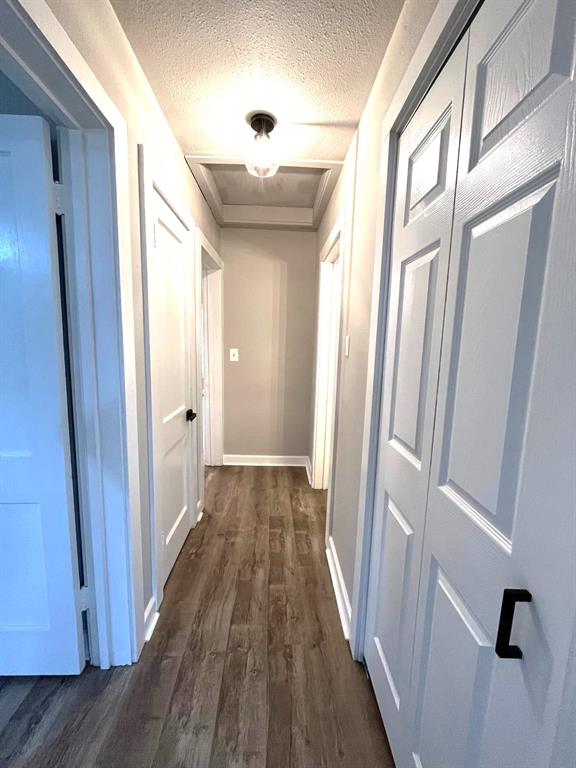 482 College Property Photo 9