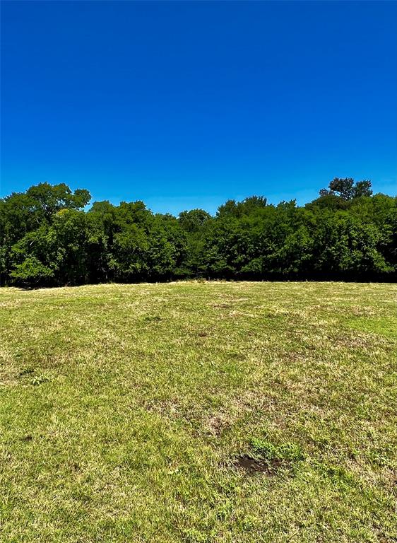 Lot 5 Cr 1610 Property Photo 3