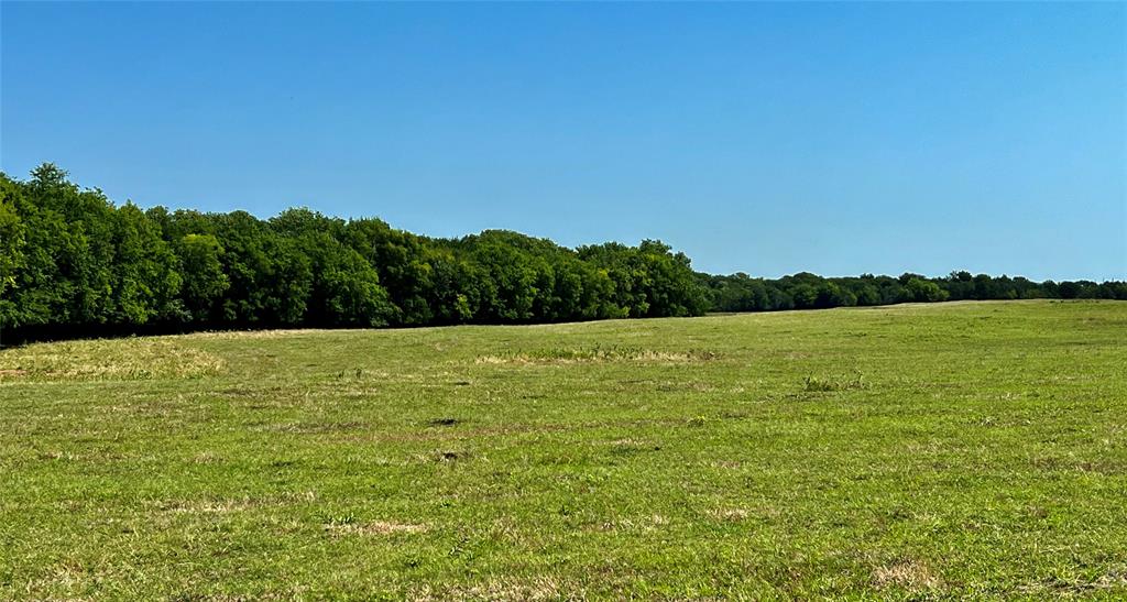 Lot 5 Cr 1610 Property Photo 4