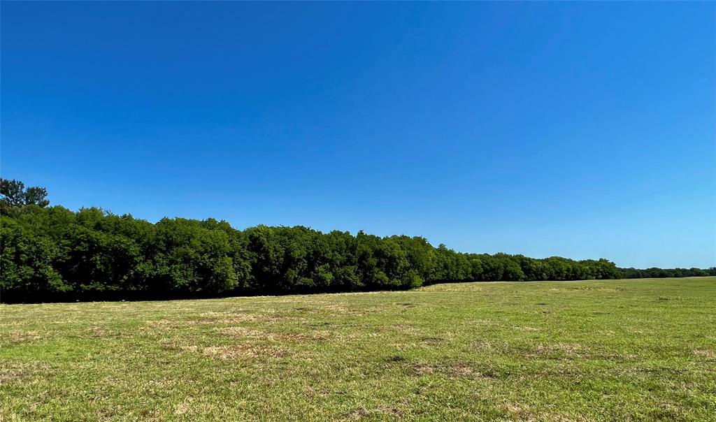 Lot 5 Cr 1610 Property Photo 5